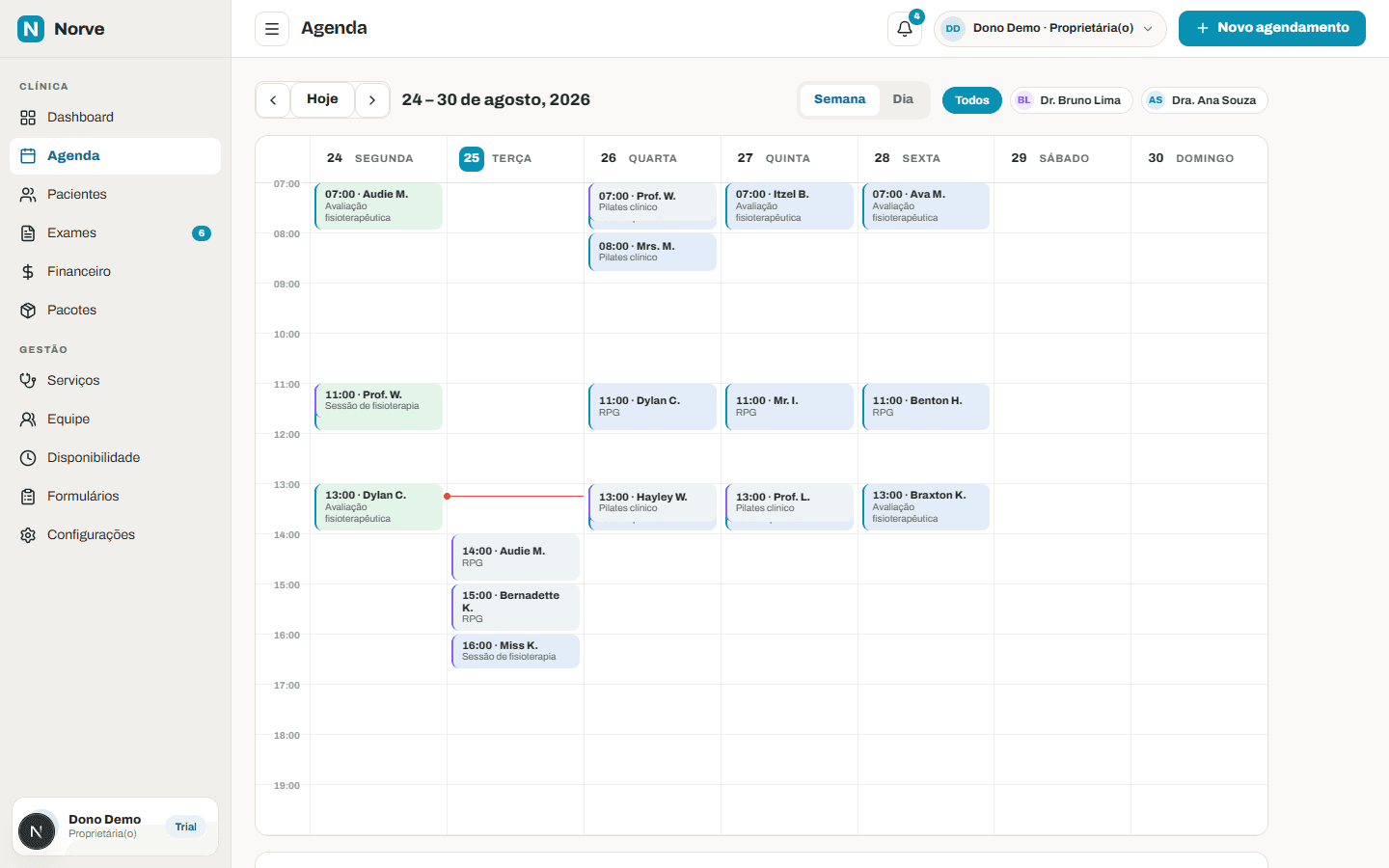 Agenda semanal real do Norve, com atendimentos por profissional